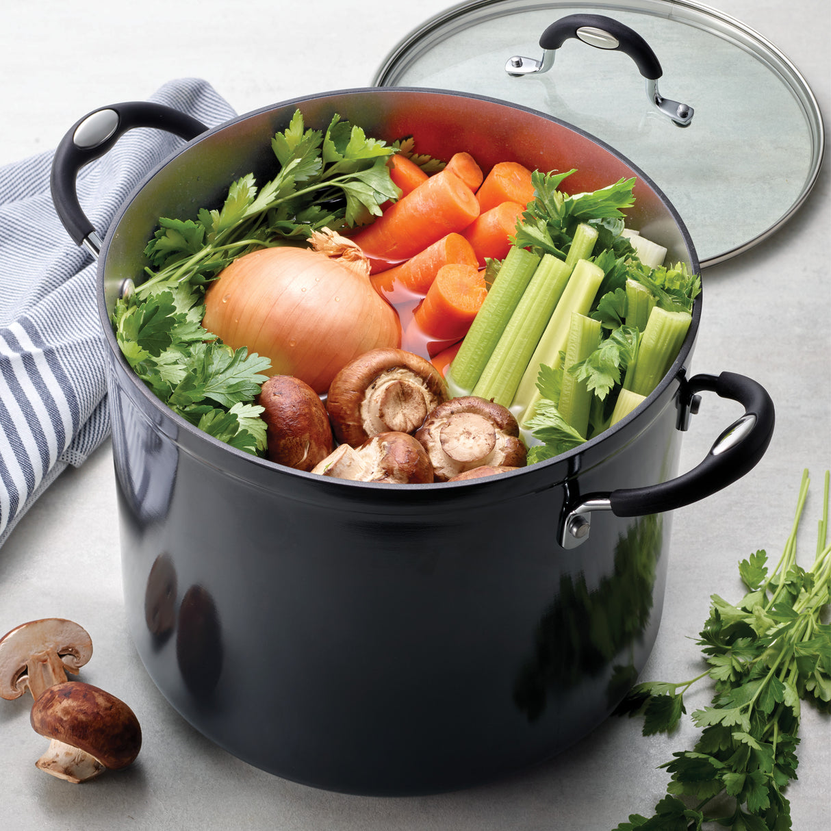 12 Quart Ceramic Nonstick Covered Stock Pot, Charcoal Gray