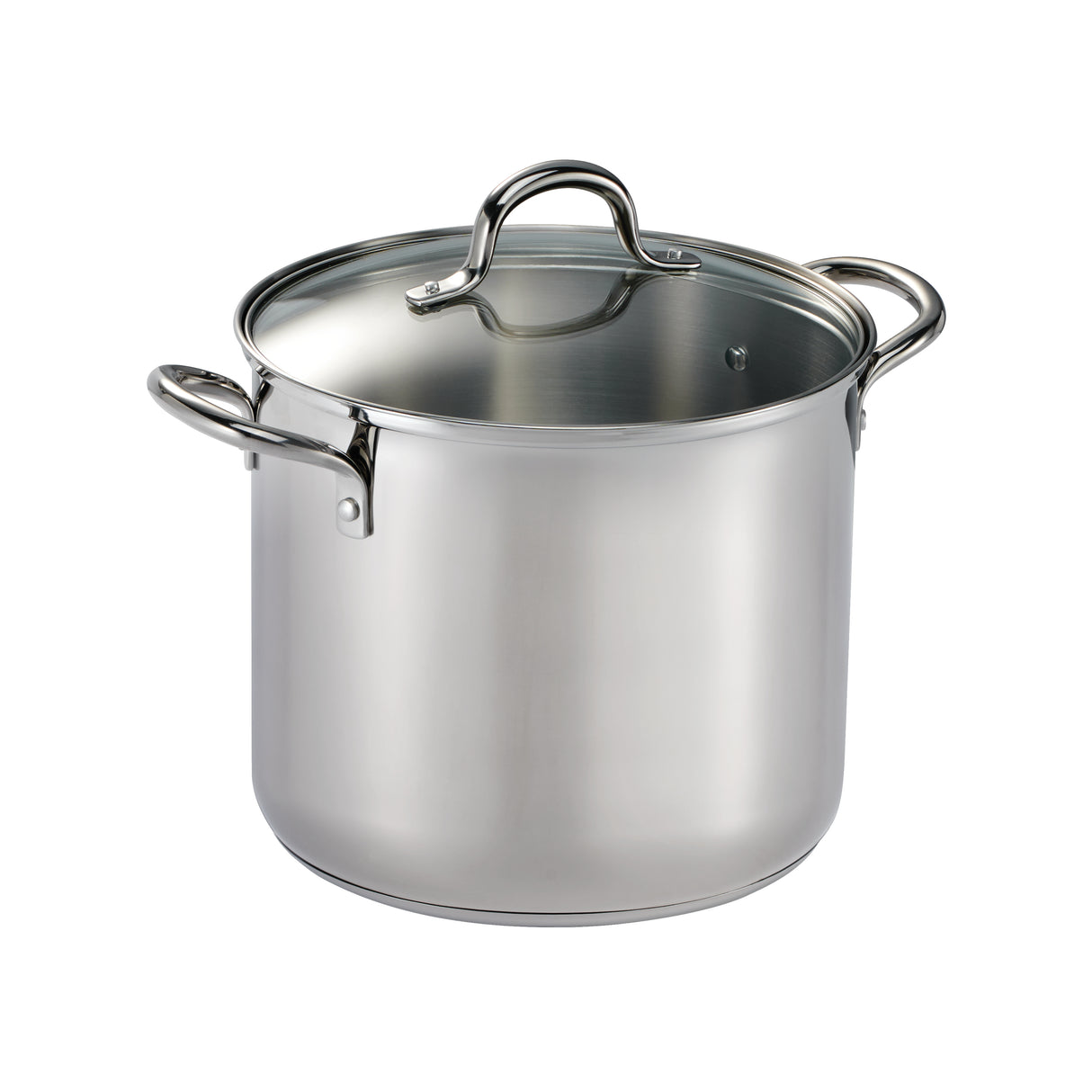 Covered Stainless Steel Stock Pot