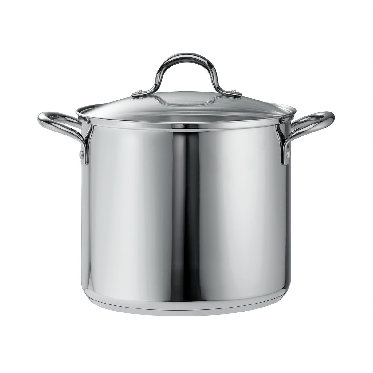 Covered Stainless Steel Stock Pot