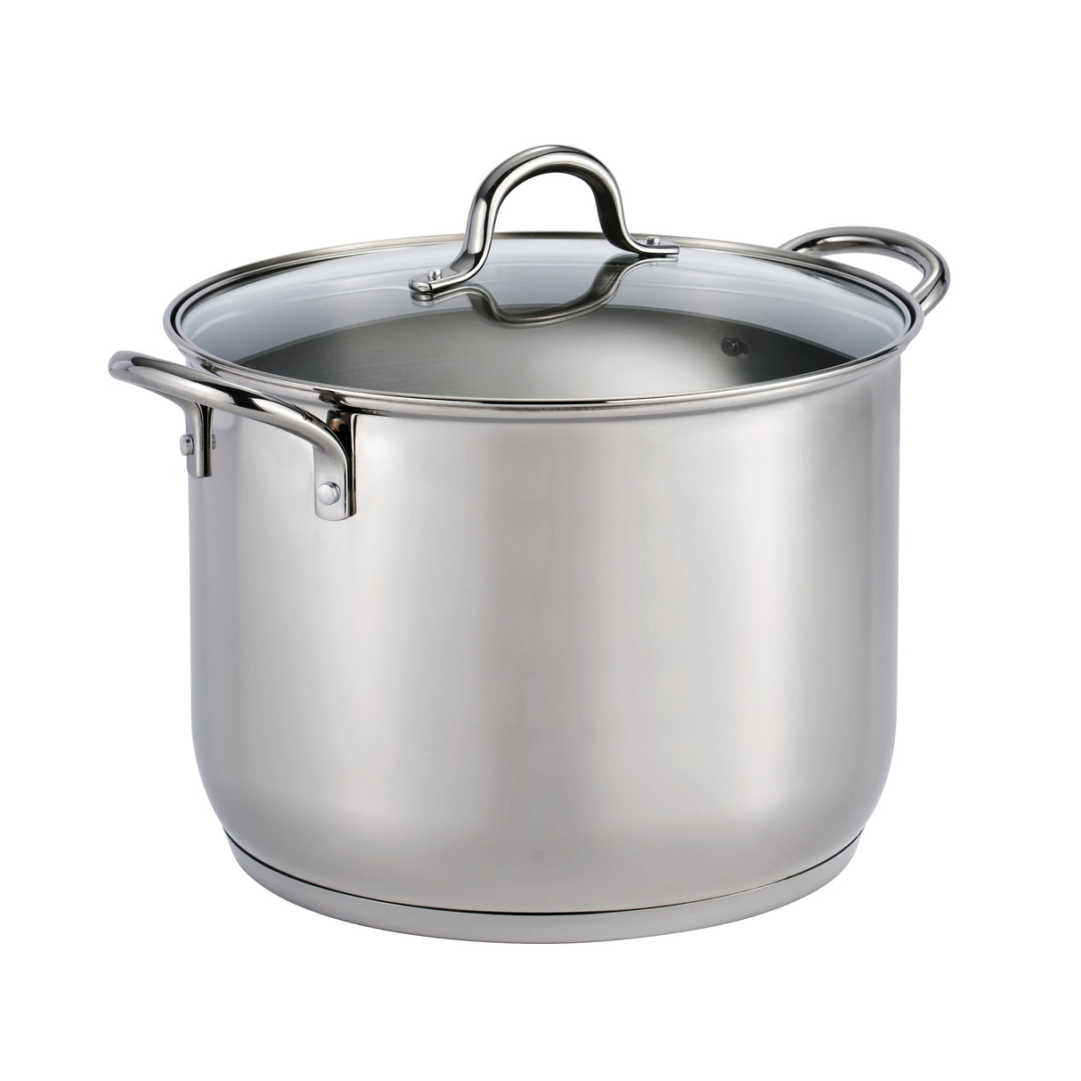 Covered Stainless Steel Stock Pot