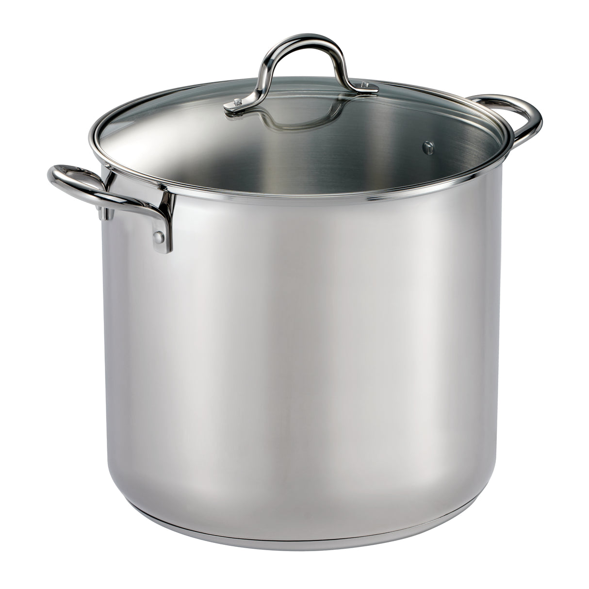 Covered Stainless Steel Stock Pot