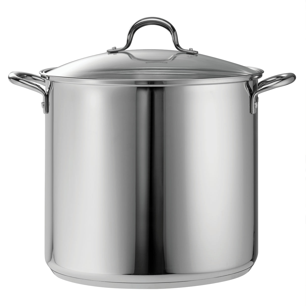 Covered Stainless Steel Stock Pot
