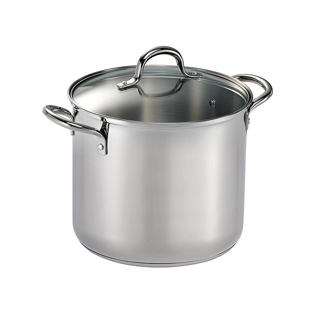 Covered Stainless Steel Stock Pot