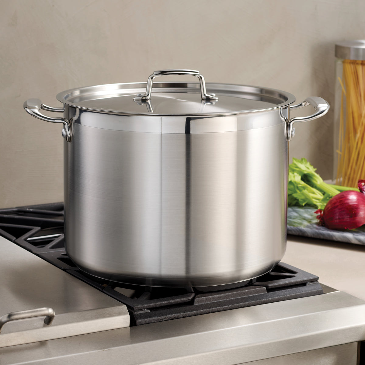 Stainless Steel Covered Stock Pot