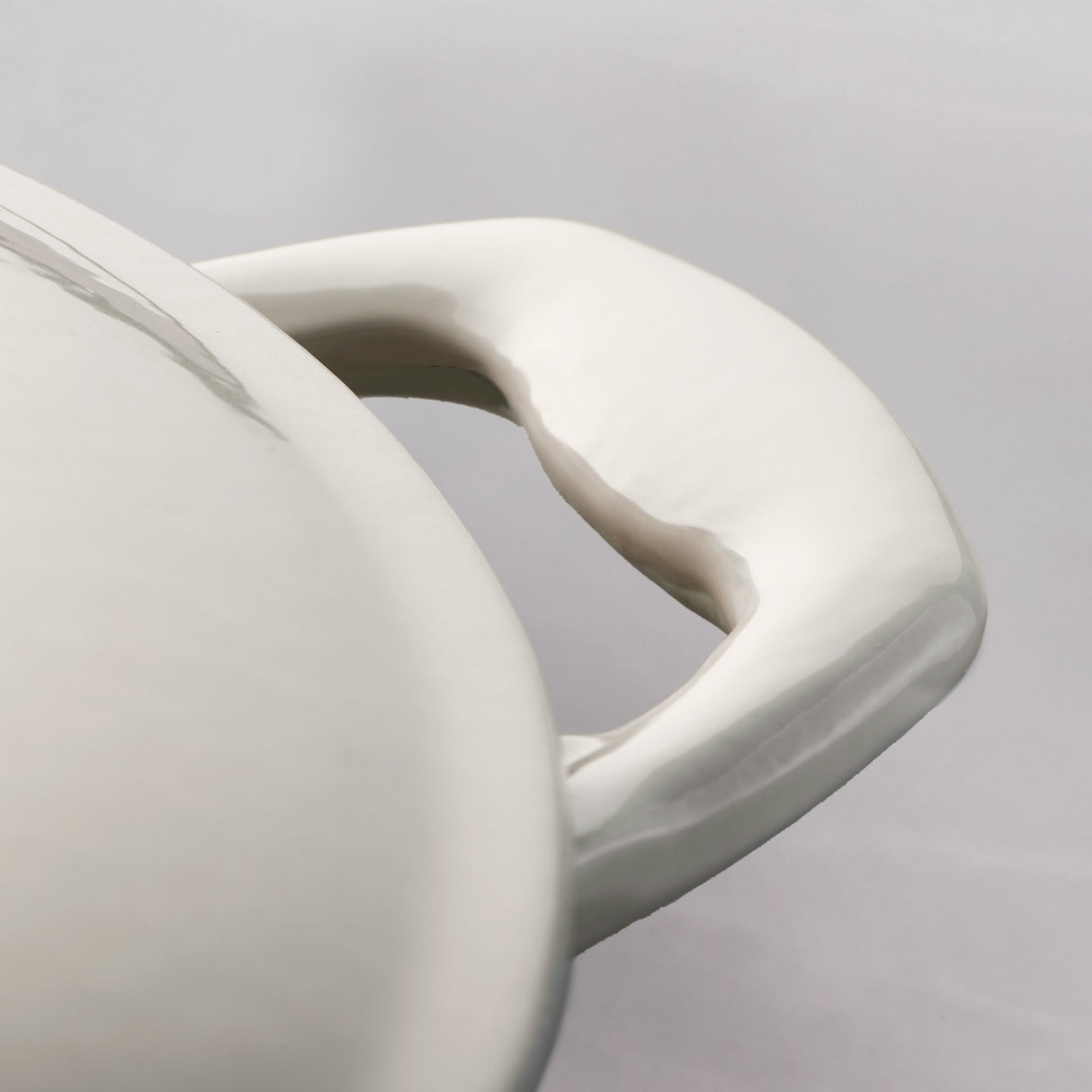 Bestow 10 Inch Enameled Cast-Iron Covered Skillet