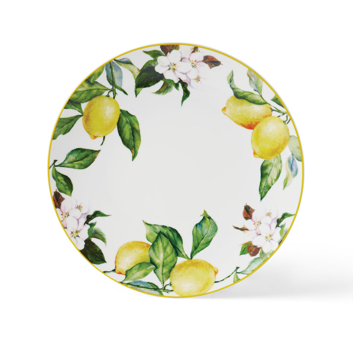 Carmen 6 Piece Dinner Plate Set