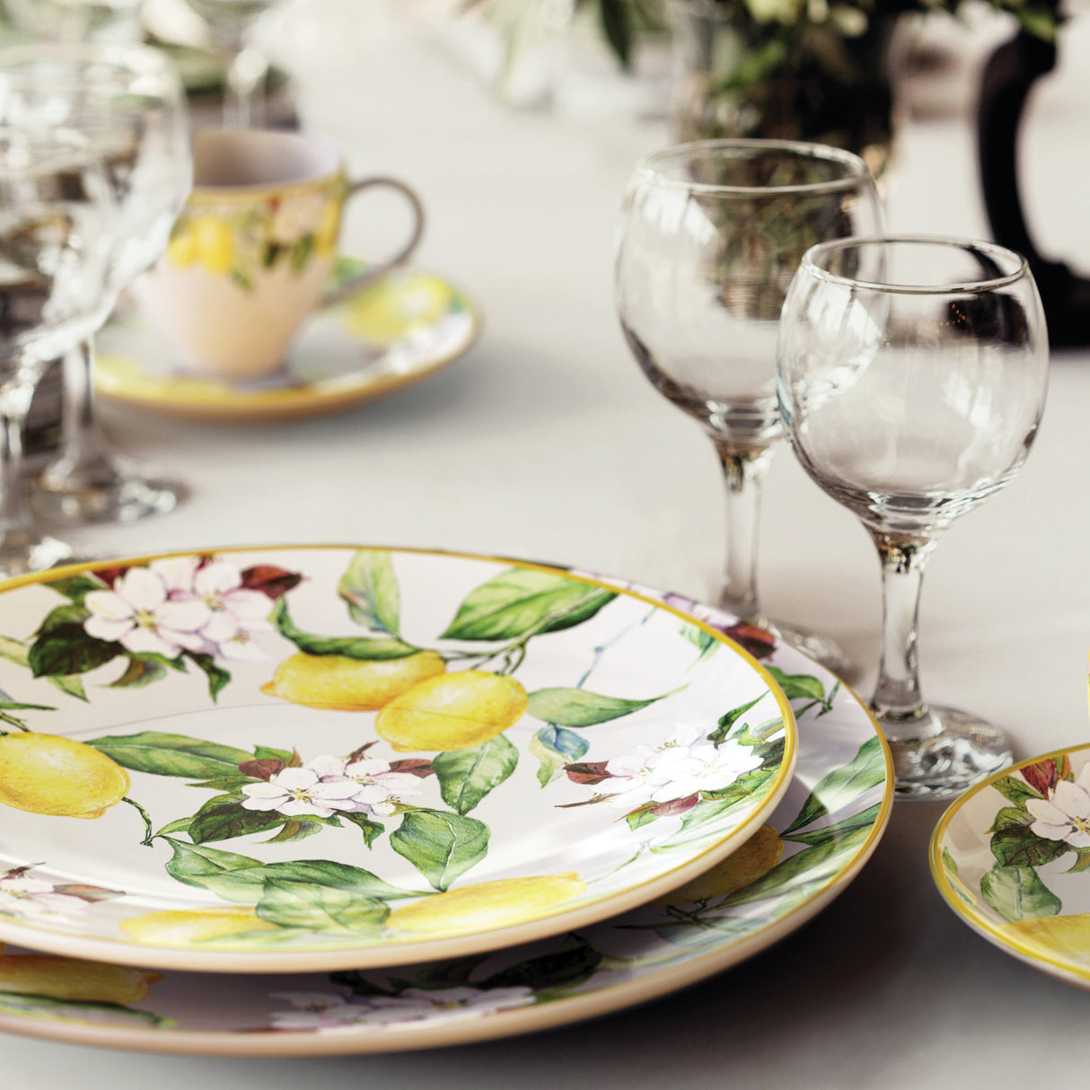 Carmen 6 Piece Dinner Plate Set