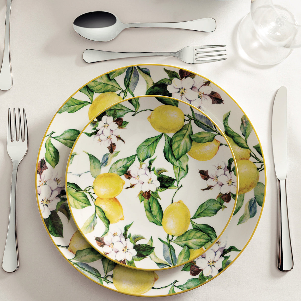 Carmen 6 Piece Dinner Plate Set