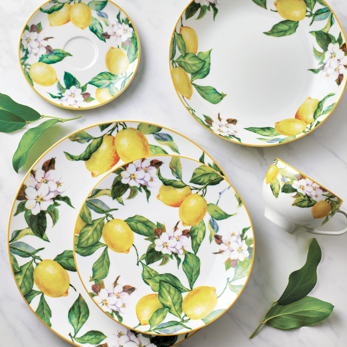 Carmen 6 Piece Soup Plate Set