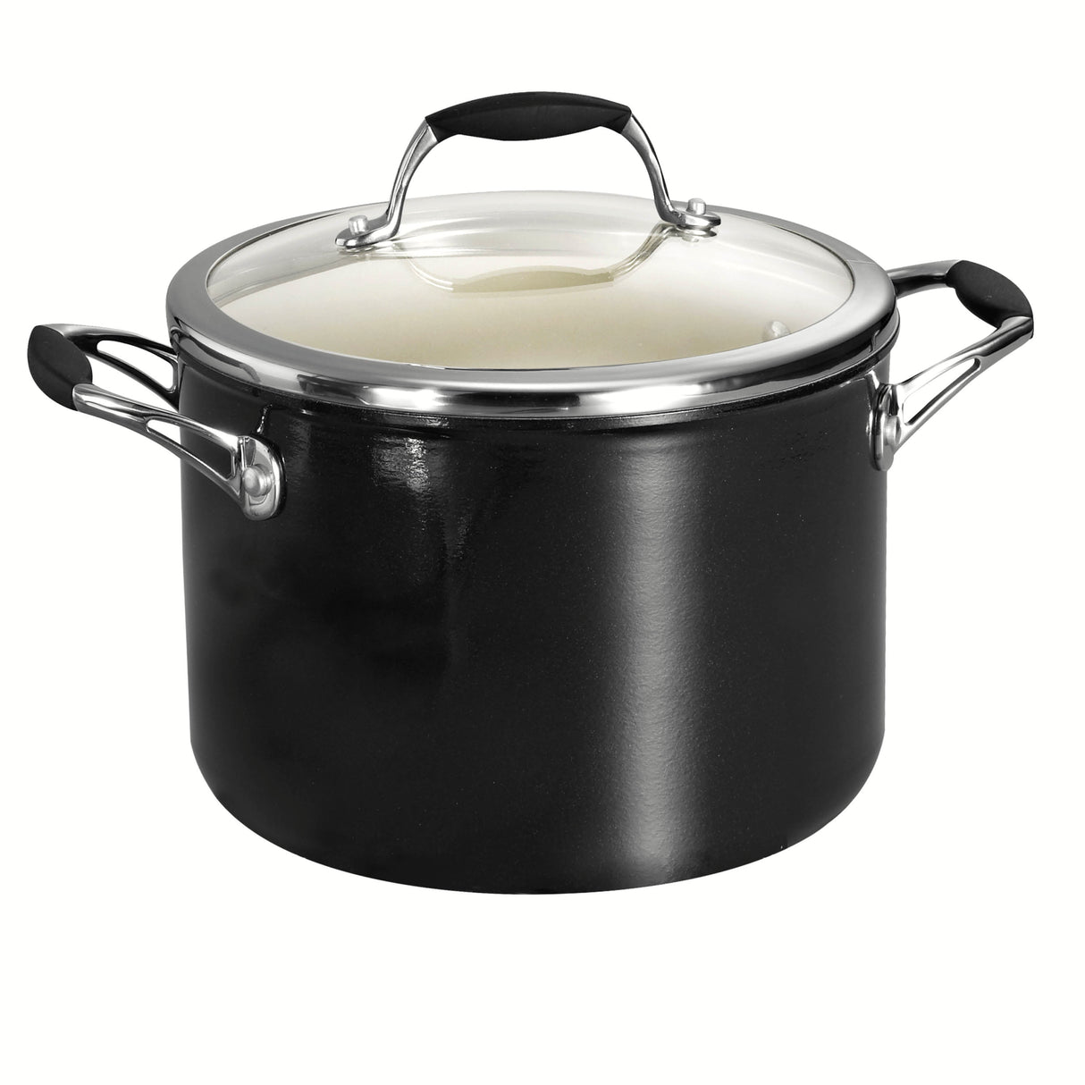 Ceramica Deluxe 6 Quart Ceramic Stock Pot with Lid