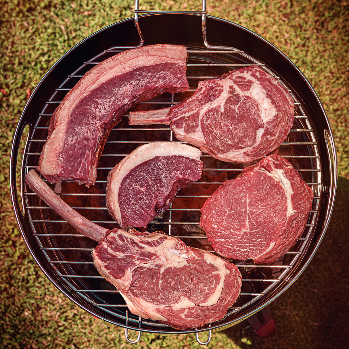 15.5 in Stainless Steel Round BBQ Charcoal Grill with Lid