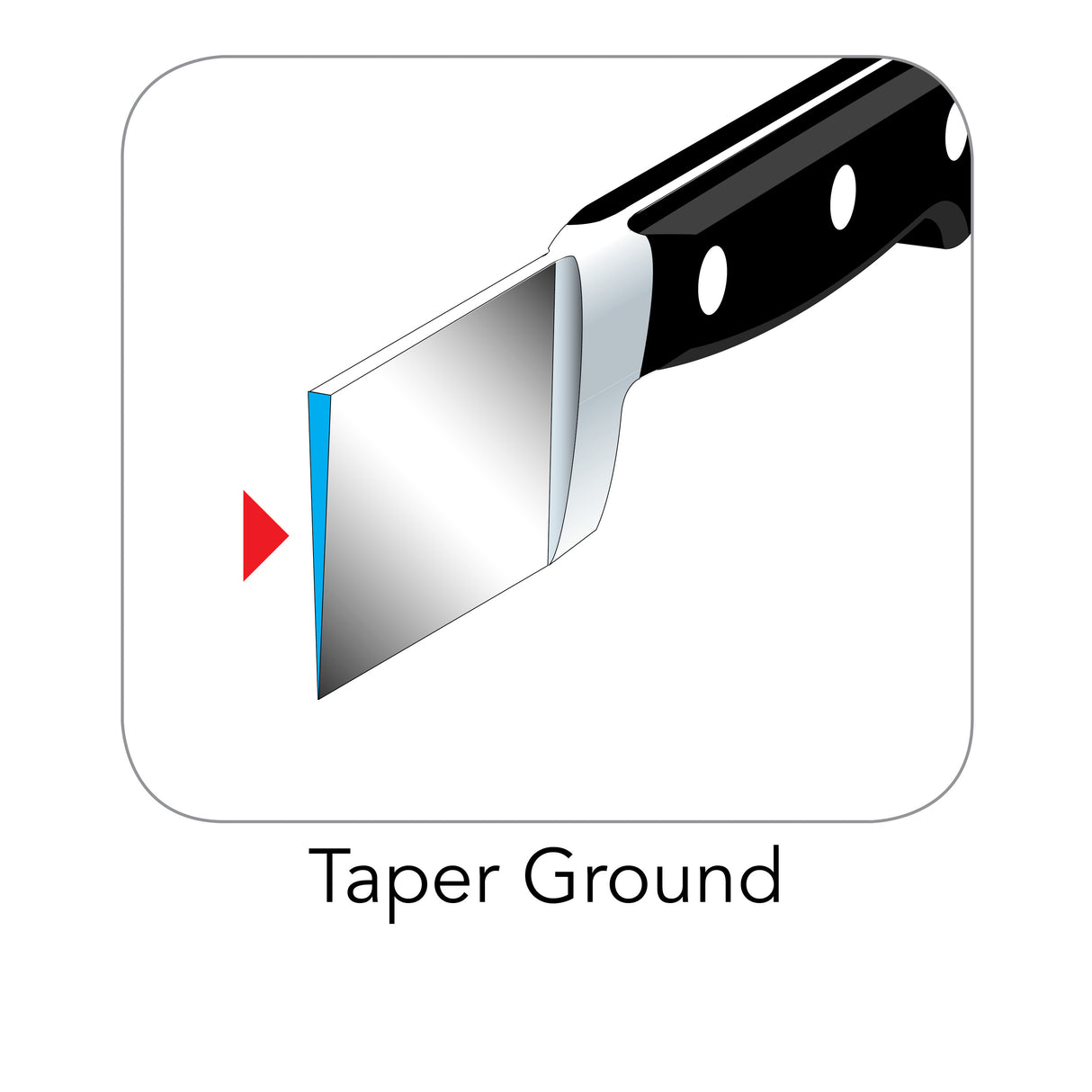 Professional Forged 10 Inch Slicer