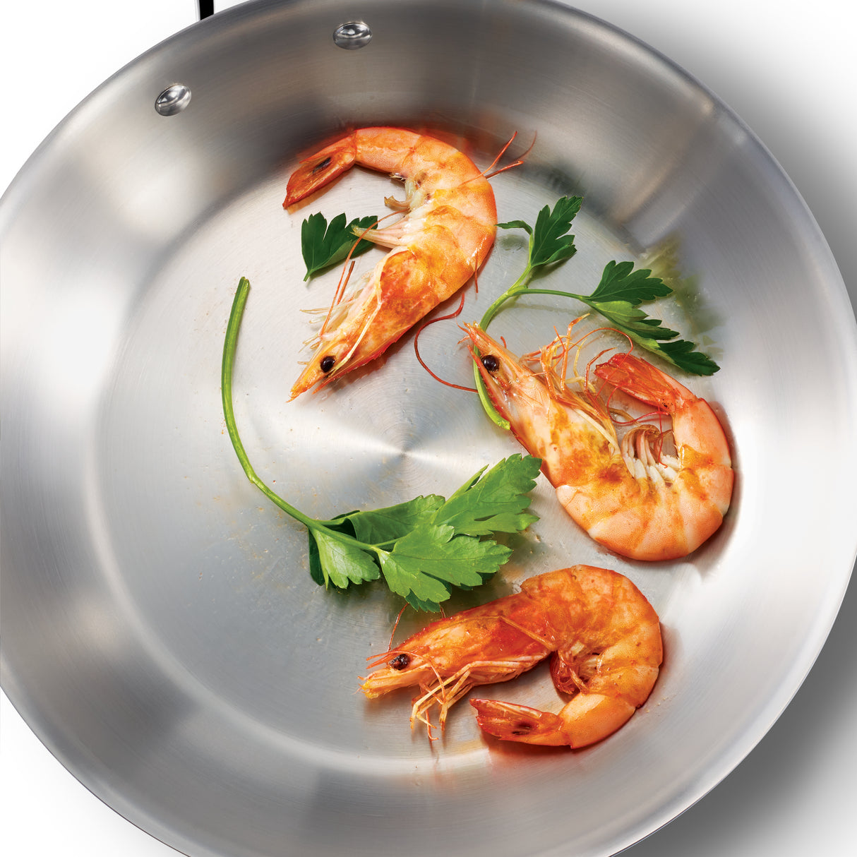 Tri-Ply Clad Stainless Steel Fry Pan - Seattle Handle