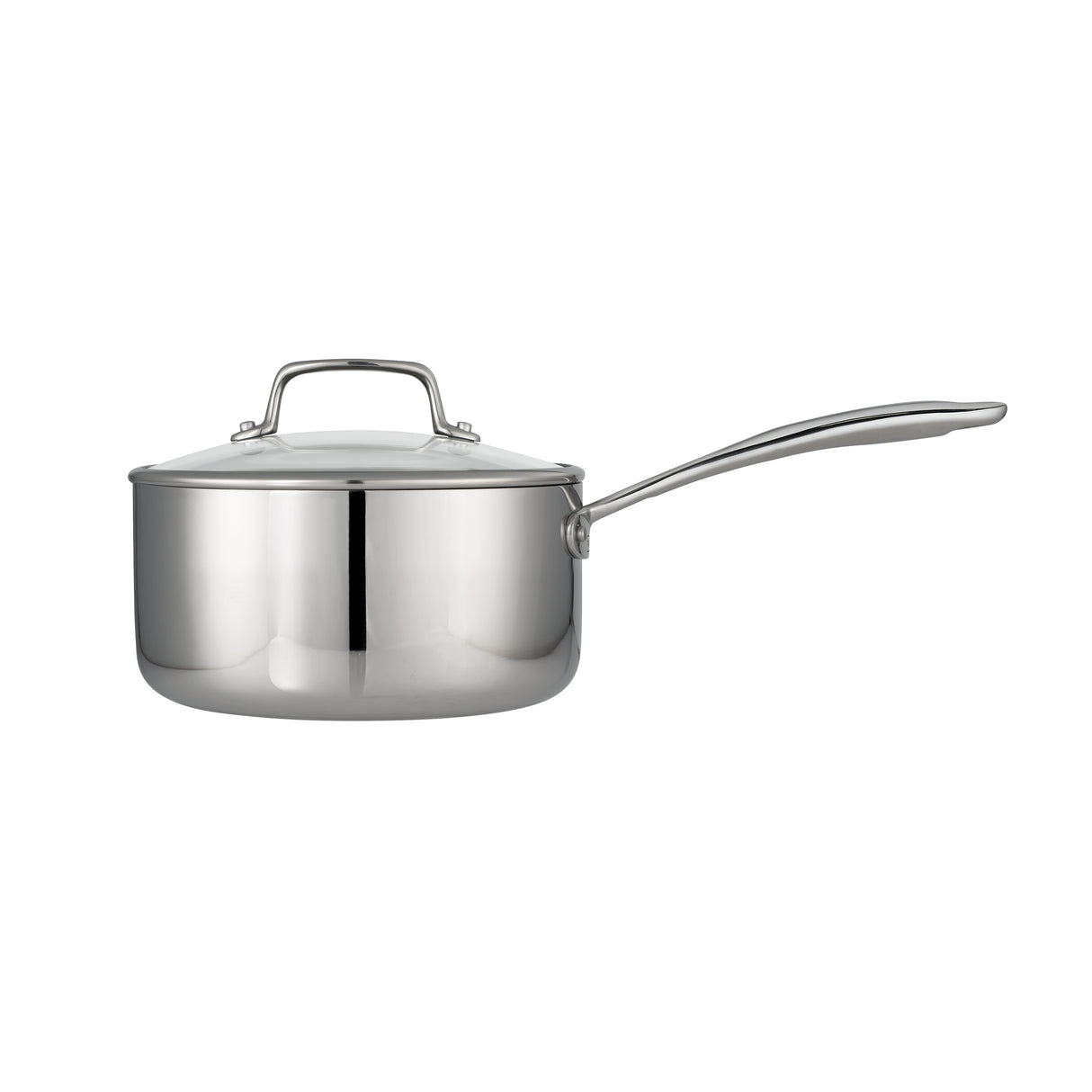 Tri-Ply Clad Covered Stainless Steel Covered Sauce Pan - Glass Lid