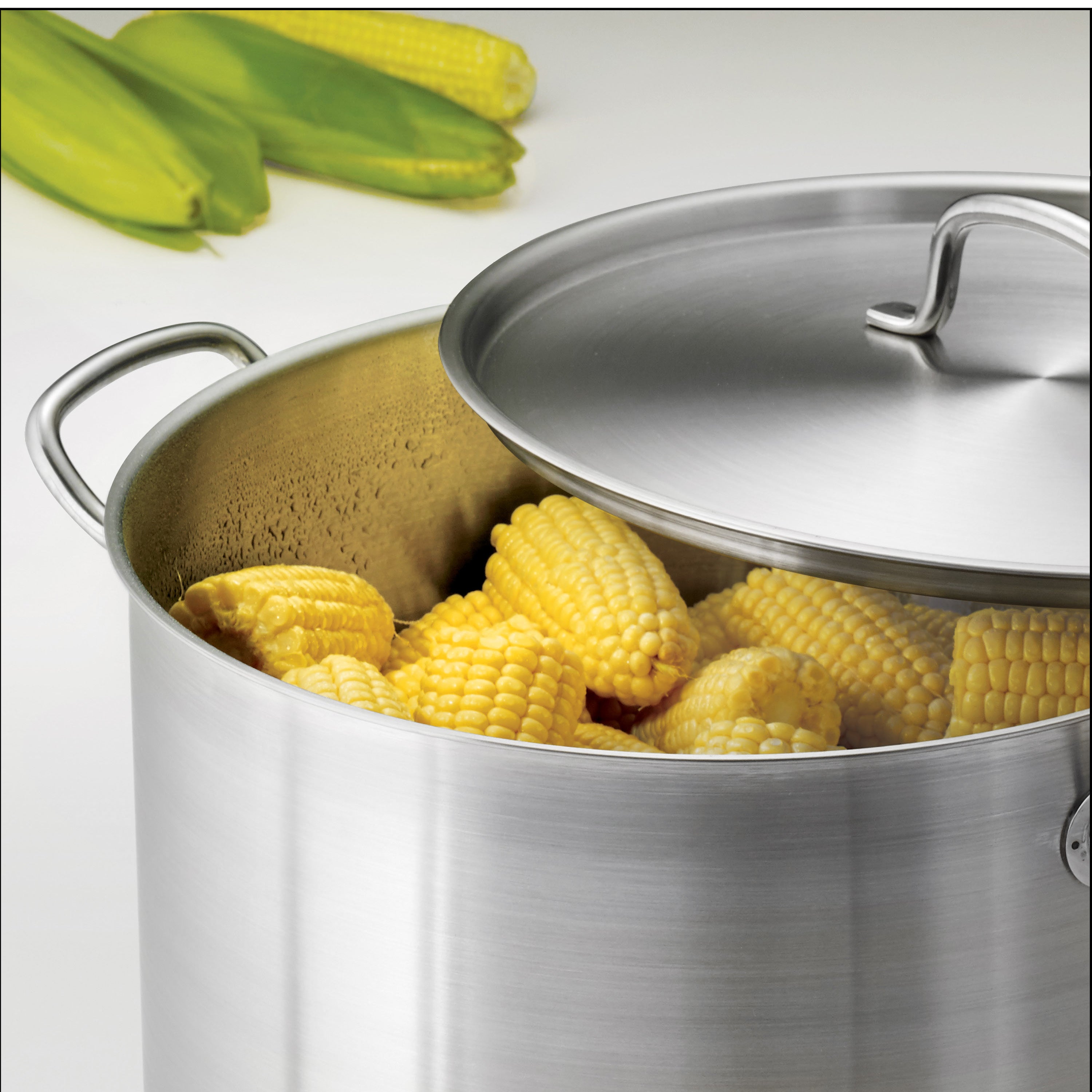 Pro Line Stainless Steel Covered Stock Pot – Tramontina USA