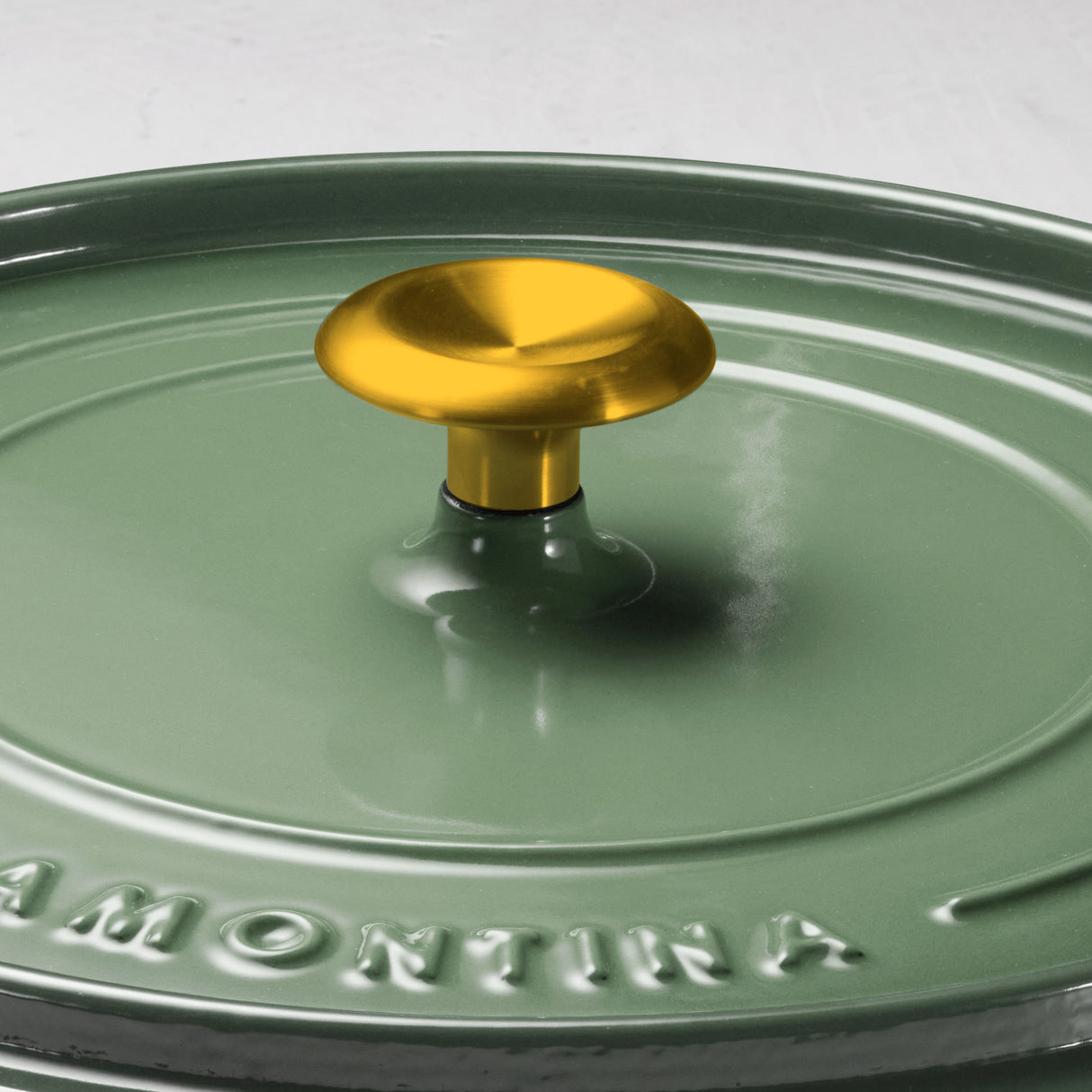 12 Inch Enameled Cast Iron Skillet with Lid